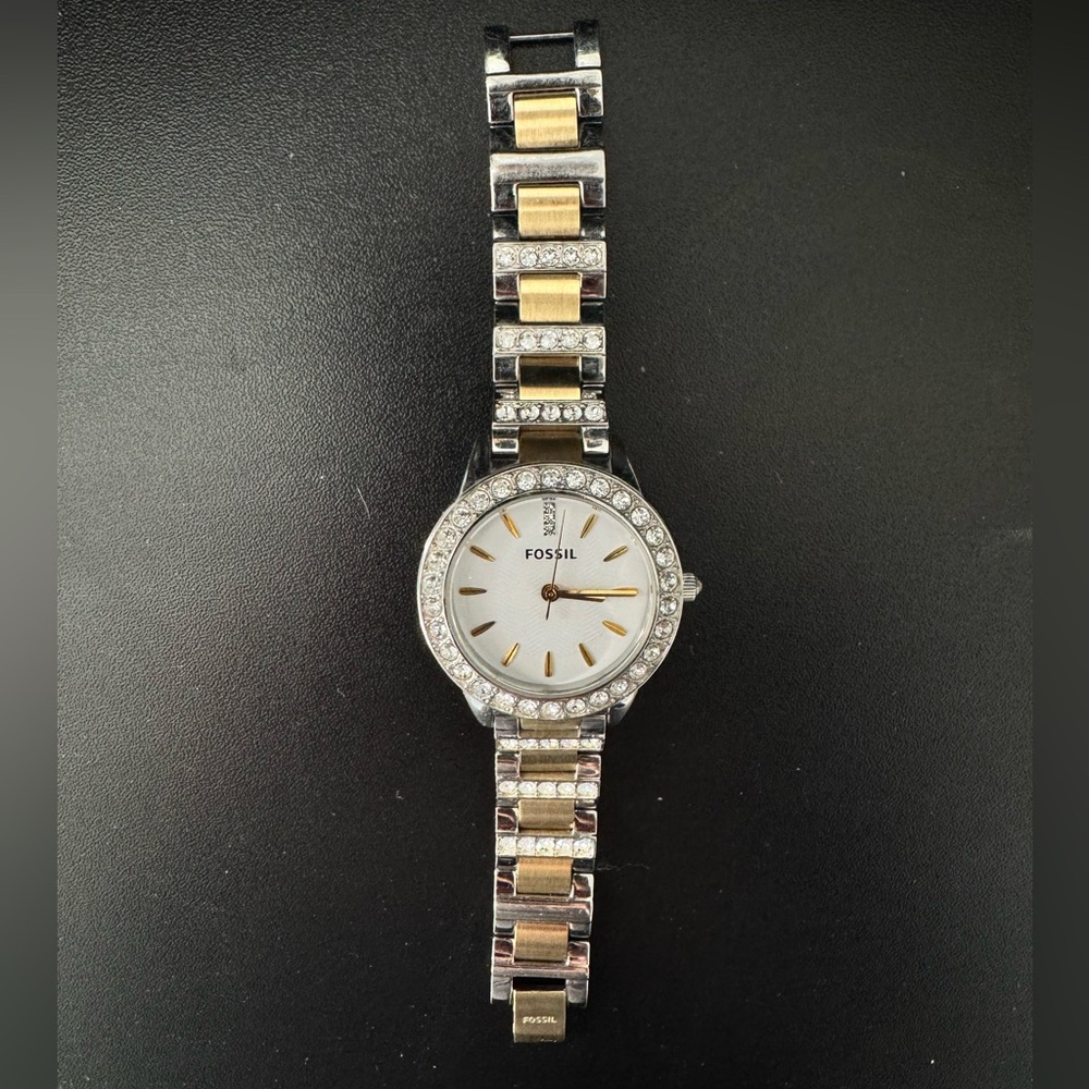 ⚠️Fossil Watch⚠️